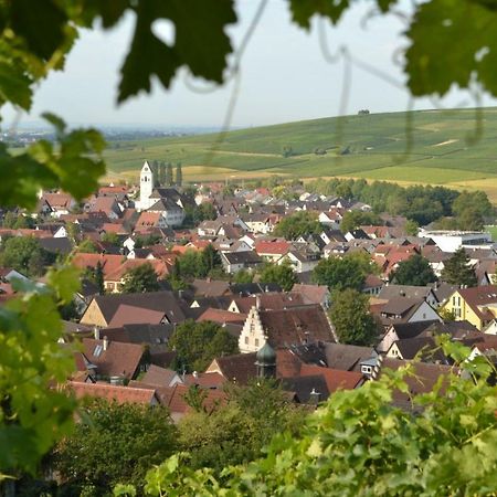 Ferienwohnung Schneckental プファッフェンヴァイラー エクステリア 写真