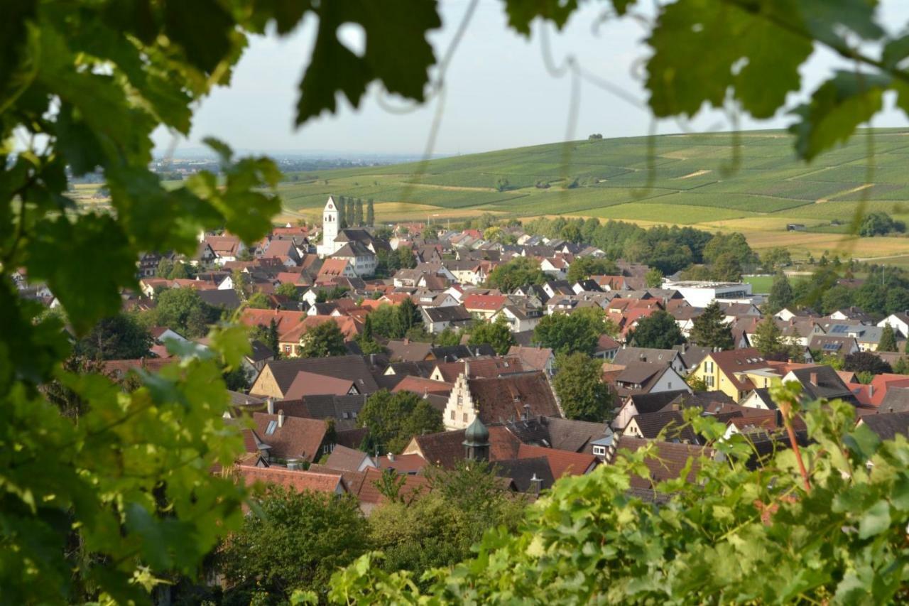 Ferienwohnung Schneckental プファッフェンヴァイラー エクステリア 写真